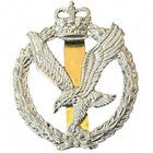 Army Air Corps Anodised Cap Badge - AAC New