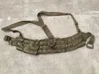 Virtus Chassis MOLLE Hip Belt MTP Size Medium & Y Harness (Y75)