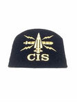 Weapon Engineering Branch CIS Basic Rate Cloth Badge x 10