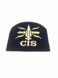 Weapon Engineering Branch CIS Basic Rate Cloth Badge x 10