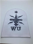 Royal Navy Warfare Under Water Able Rate Trade Qualification Badge x 10