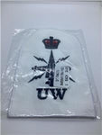 Royal Navy Warfare Under Water Petty Officer Trade Qualification badge x 10