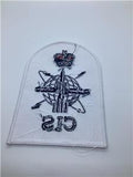 Royal Navy Communications and Information Systems Petty Officer Badge x 10